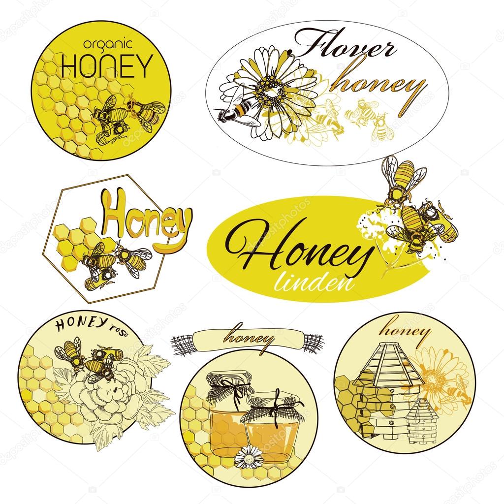 Honey hand drawn decorative icons set with beehive wax cell flying bee isolated vector illustration
