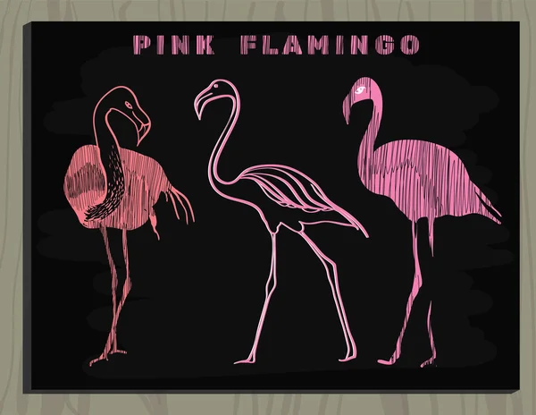 Flamingo roz pe tabla de cretă — Vector de stoc