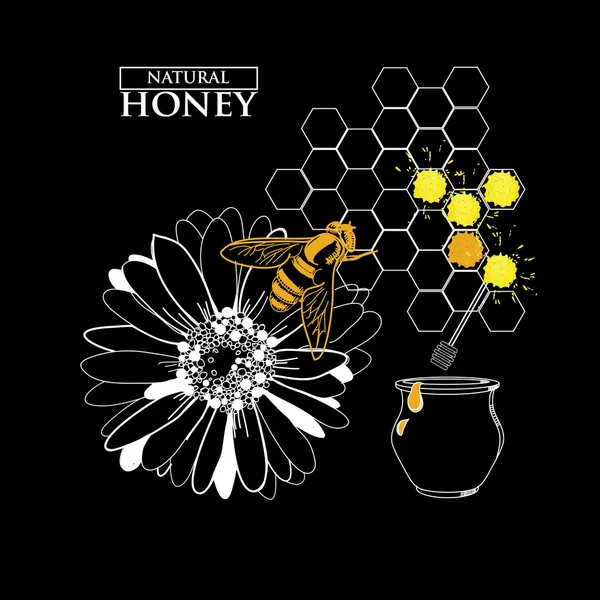Designelement för honung design — Stock vektor