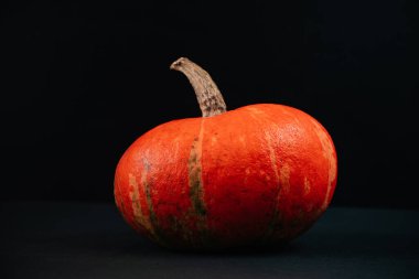 Siyah arka planda olgun turuncu balkabağı. Şükran Günü ve Cadılar Bayramı.