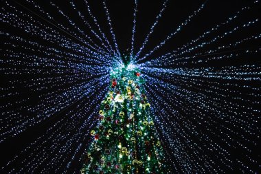 Güzel ışıkları olan bir Noel ağacının alt manzarası. Yeni Yıl Dekorasyonu.
