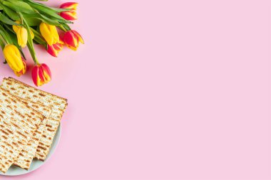 Fısıh bayrağınız kutlu olsun. Matzo ve pembe arka planda renkli laleler. Pesach için geleneksel Yahudi yemekleri. Boşluğu kopyala.