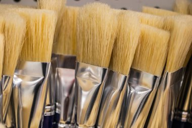 Sanatçılar için mağazada yeni fırçalar. Çizim araçları.