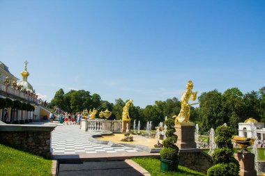 Peterhof, Rusya: 16 Temmuz 2016 - Çeşmelerin açılışını kutlamak. Büyük çağlayanlar ve altın heykeller. St. Petersburg 'un turistik merkezi..