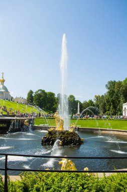 Peterhof, Rusya: 16 Temmuz 2016 - Çeşmelerin açılışını kutlamak. Büyük çağlayanlar ve altın heykeller. St. Petersburg 'un turistik merkezi..