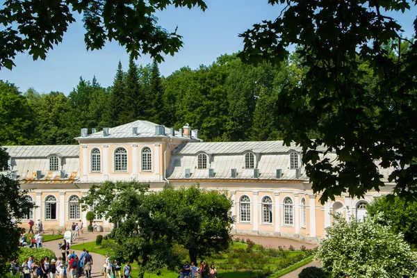 Peterhof Rússia Julho 2016 Parque Palácio Celebração Abertura Das Fontes — Fotografia de Stock