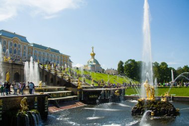 Peterhof, Rusya: 16 Temmuz 2016 - Çeşmelerin açılışını kutlamak. Büyük çağlayanlar ve altın heykeller. St. Petersburg 'un turistik merkezi..