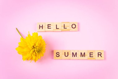 Merhaba yaz konsepti. Pembe arka planda sarı çiçek. Tahta harfler.