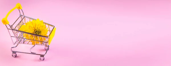 夏の背景コンセプト ピンクの背景に花のショッピングカート — ストック写真