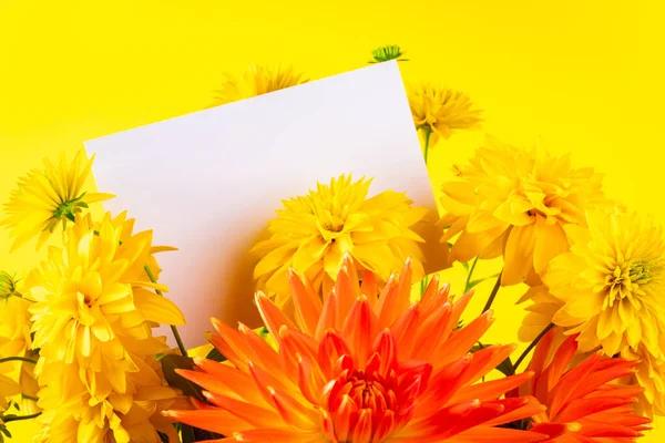 Bukiet Żółtych Kwiatów Letnich Pusta Kartka Okolicznościowa Jasnym Tle Dostawa — Zdjęcie stockowe