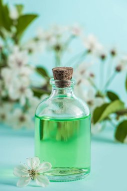 Mavi arka planda doğal kozmetik yağlı ve çiçekli bir şişe. Aromaterapi ve spa sağlık konsepti. Organik cilt bakımı ürünü.