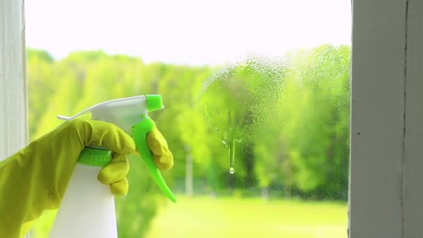 Cam temizleme ve ev temizliği. Genç bir kadın cama deterjan püskürtüyor. Ev işi kavramı. — Stok video
