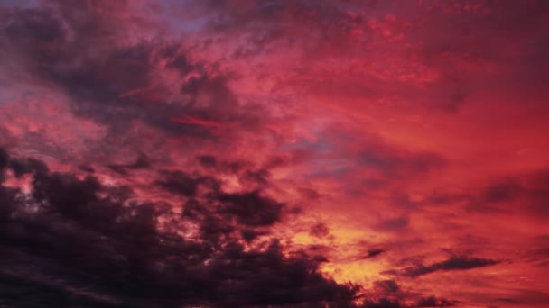 美しい夕日の空。夕方の太陽の光の中でピンクの雲の動き。夏の背景. — ストック動画