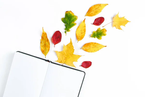 Hello Autumn Blank Notebook Yellow Fallen Leaves White Background Beginning — Stock Photo, Image