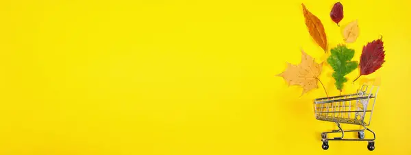 秋のセールコンセプト 黄色の背景にショッピングカートと紅葉 広告のための創造的な組成 スペースのコピー — ストック写真