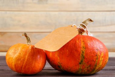 Hasat ve sonbahar satış konsepti. Ahşap arka planda etiketi olan olgun bir balkabağı. Şükran Günü tatili Boşluğu kopyala.