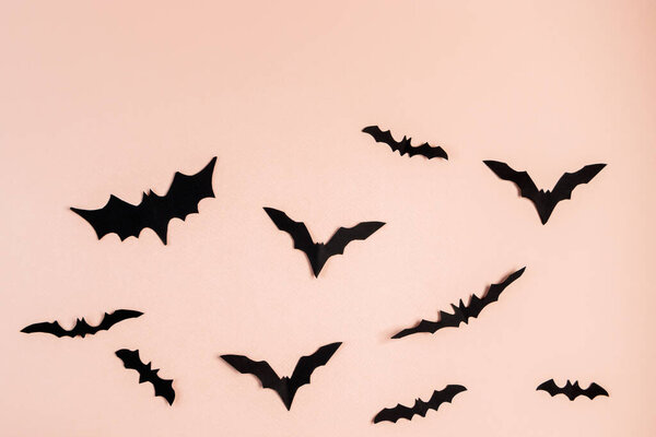 Концепция Хэллоуина. Летучие мыши и пауки на розовом фоне. Праздничные украшения.