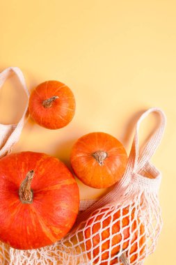Olgun balkabakları sarı arka planda ağ torbasında. Sonbahar hasadı ve Şükran Günü konsepti. Çevre dostu tarım ürünleri.