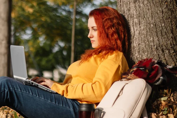 Young red-haired woman freelancer works in park using laptop. Modern businesswoman talking on phone. Online work on the Internet.