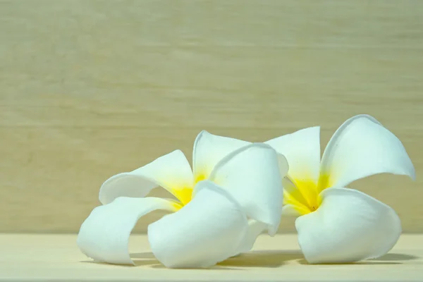 Plumeria biała kwiat na tle deska — Zdjęcie stockowe