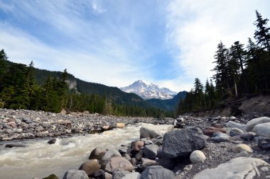 Rainier Dağı Milli Parkı içinde Usa