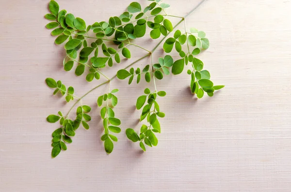 Moringa bladeren op houten plank achtergrond — Stockfoto