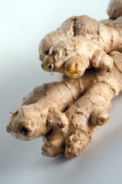 Beyaz arkaplanda zencefil izole