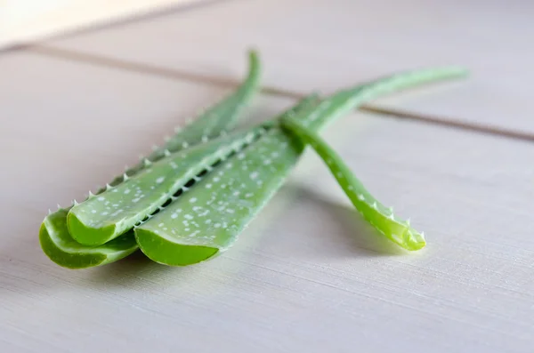 Aloe vera terisolasi di latar papan kayu — Stok Foto