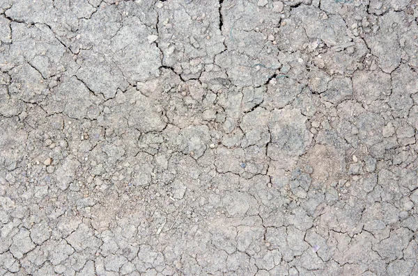 Terre texture du sol — Photo