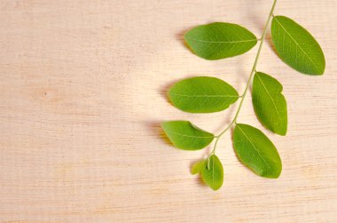 Ahşap tahta arka plan üzerinde izole Moringa yaprak