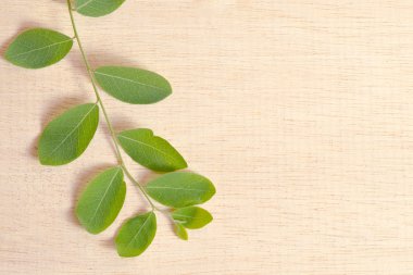 Ahşap tahta arka plan Moringa yapraklarda