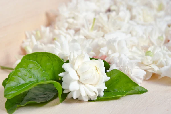 Jasmin Blumen auf Holzbrett Hintergrund gruppiert — Stockfoto