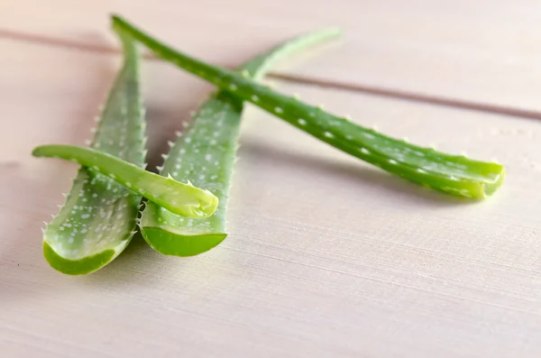 Aloe vera na białym tle deska — Zdjęcie stockowe