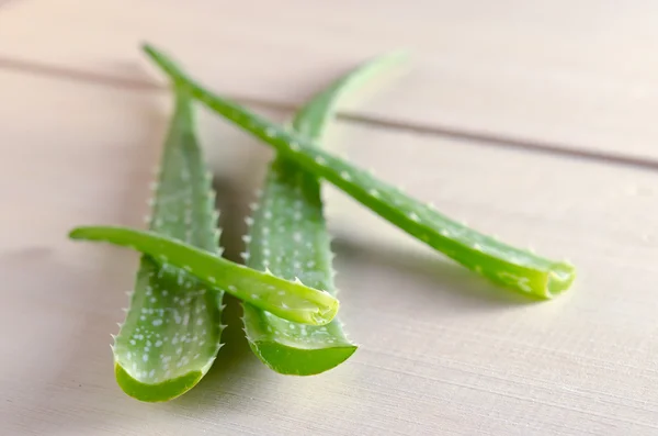 Aloe vera terisolasi di latar papan kayu — Stok Foto