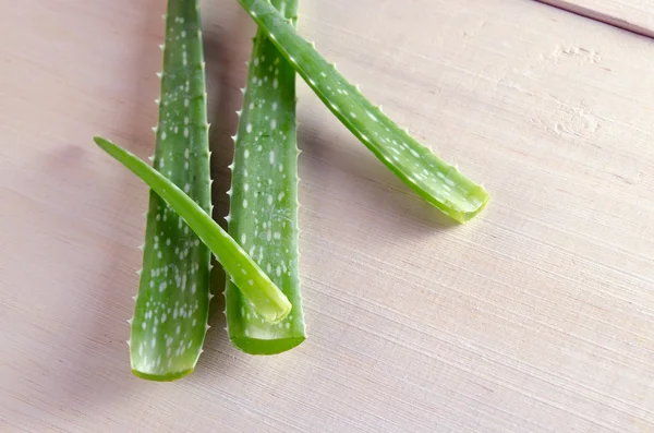 Aloe vera terisolasi di latar papan kayu — Stok Foto