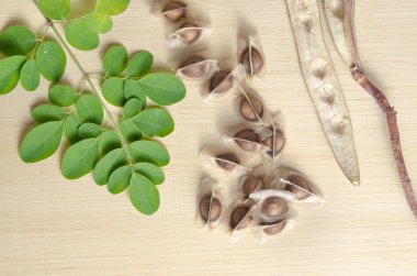 Moringa leaf and seed on wooden board background clipart