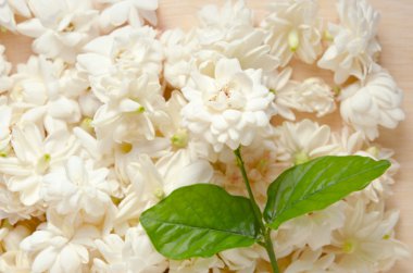 Yasemin çiçekleri ahşap tahta arka plan üzerinde gruplandırılmış