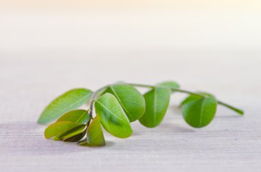 Ahşap tahta arka plan üzerinde Moringa yaprak