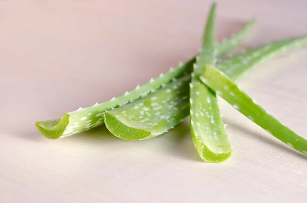 Aloe vera terisolasi di latar papan kayu — Stok Foto