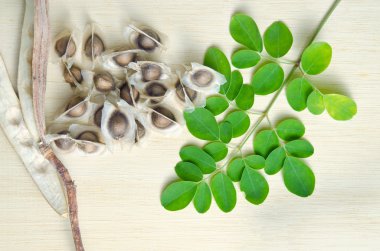 Moringa leaf and seed on wooden board background clipart
