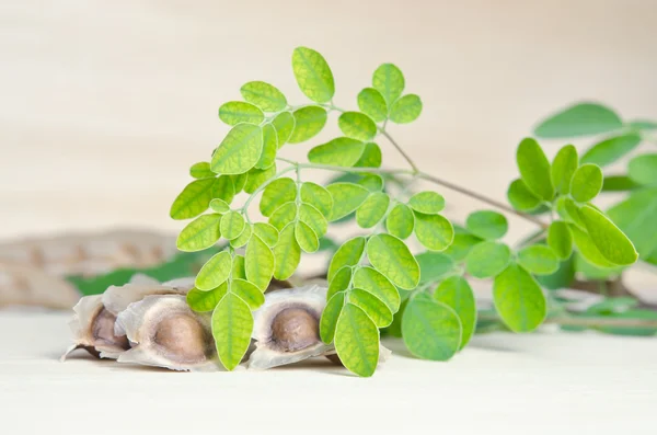 Moringa foglia su sfondo bordo di legno — Foto Stock