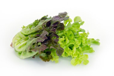 Salata sebze yaprak beyaz arka plan üzerinde izole