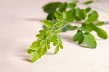 Ahşap tahta arka plan üzerinde Moringa yaprak
