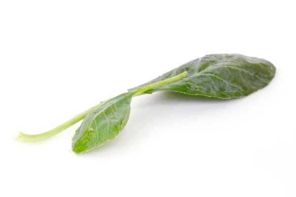 Chiński Kale lub brokuły chińskich warzyw na białym tle na biały bac — Zdjęcie stockowe