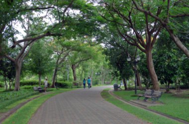 Park ve Bahçe bulanık manzaralı insanlar rahatlayın