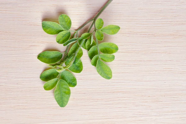 Moringa leaf op houten plank achtergrond — Stockfoto