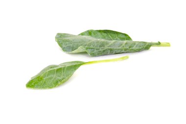 Çince lahana veya Çince brokoli sebze üzerinde beyaz bac izole