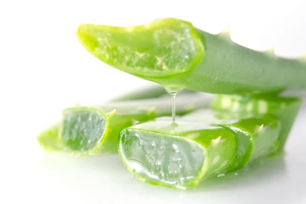 Aloe vera is a gelatinous substance obtained from a kind of aloe — Stock Photo, Image