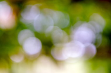 Bokeh arka plan ağaç, gökyüzü, ışık ve güneş gölge