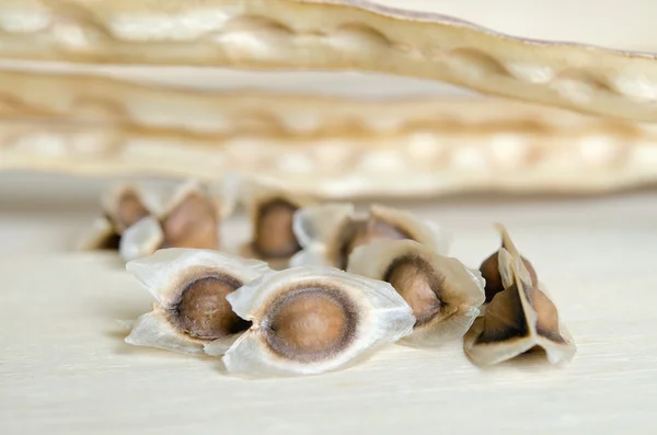 Semi di moringa su fondo tavola di legno — Foto Stock